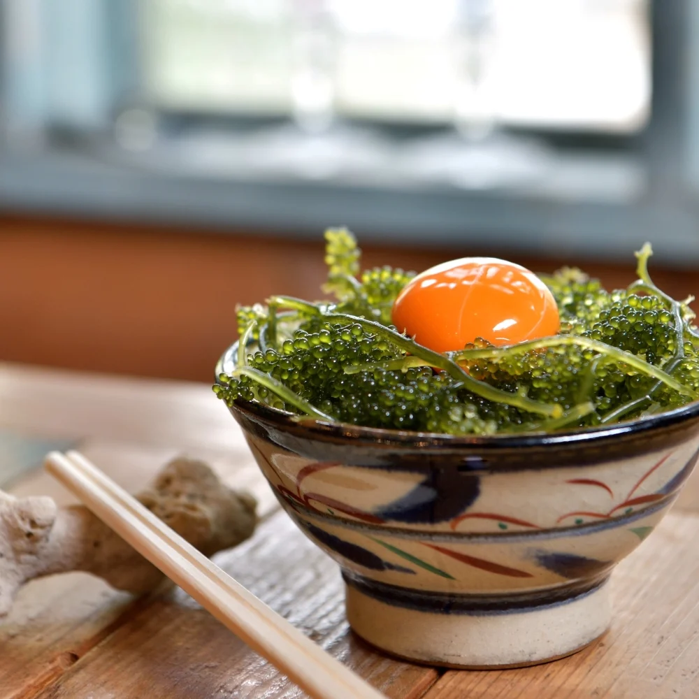 海ぶどうと卵黄をご飯にのせた盛り付け例
