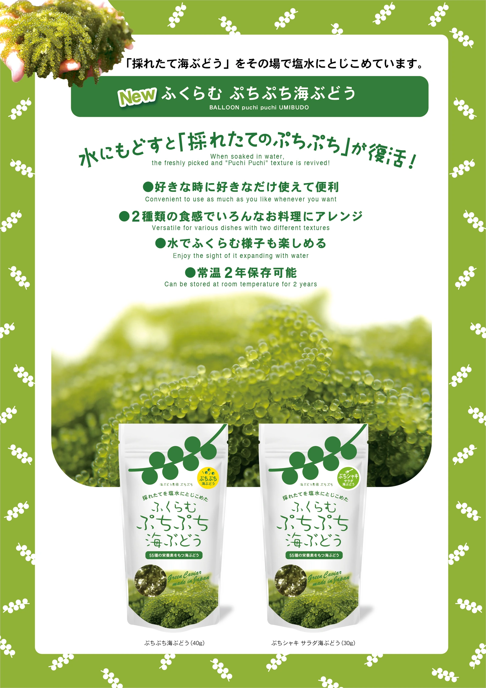 主催者提供の海ぶどう商品・調理方法資料(日本語・英語)