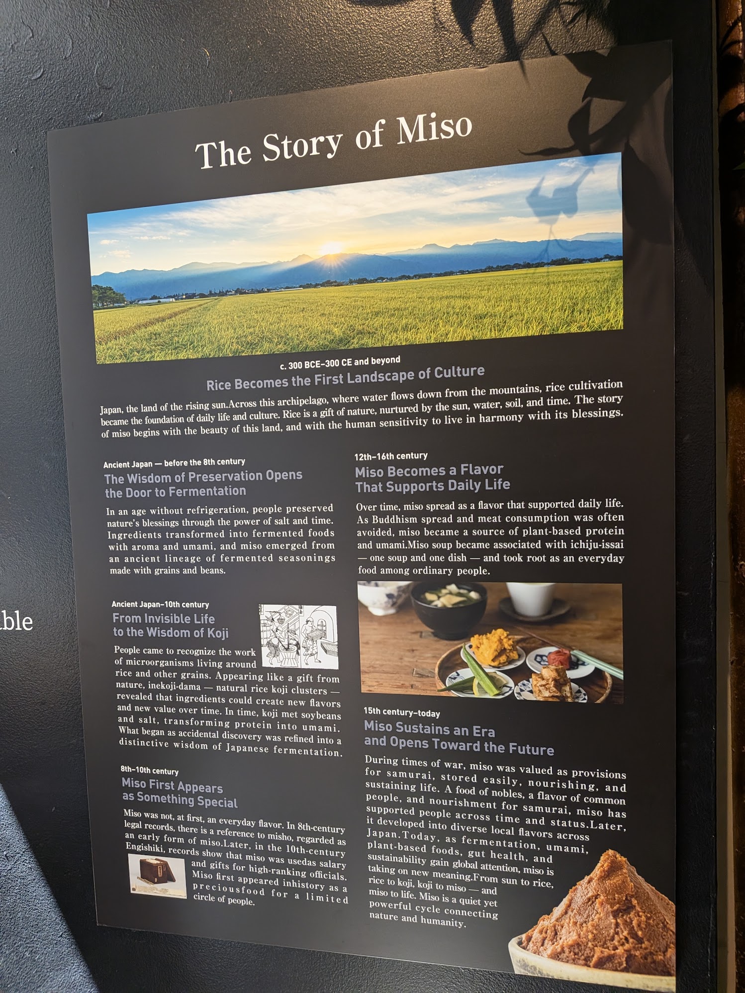 The Story of Miso display board at THE GALLERY by Odo